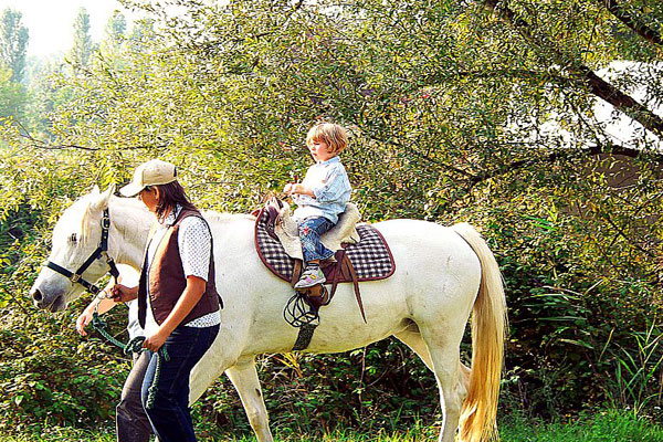 Cavallo, fattoria, bambino