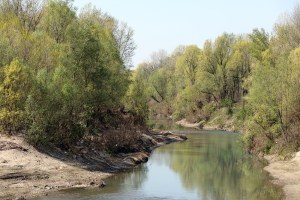Rete Natura 2000, Casse espansione fiume Secchia_1