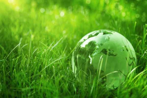 Certificazioni ambientali, mondo, ambiente, green