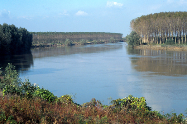 Delta del Po, fiume