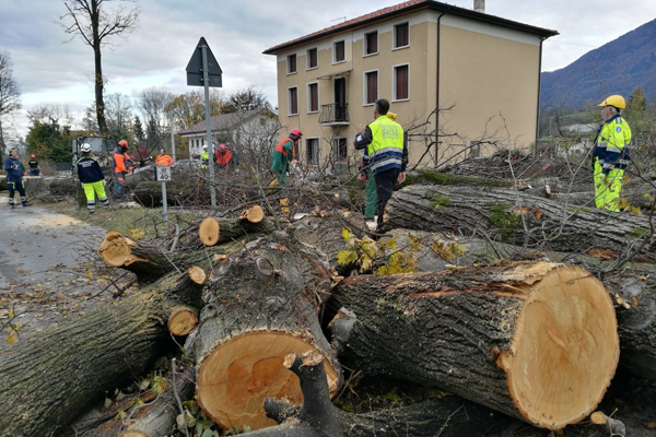 Emergenza Veneto colonna mobile protezione civile RER a Feltre Belluno novembre 2018 - 2