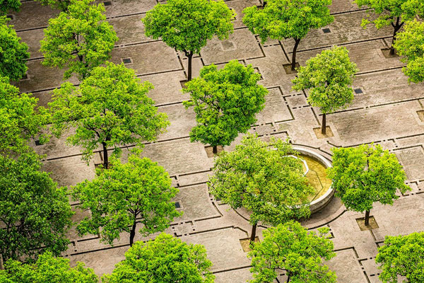Green cities, riqualificazione urbana, città, città verdi, alberi, cemento, asfalto (Visualizza)