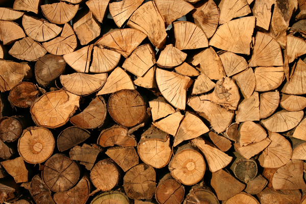Legna, legno, biomasse