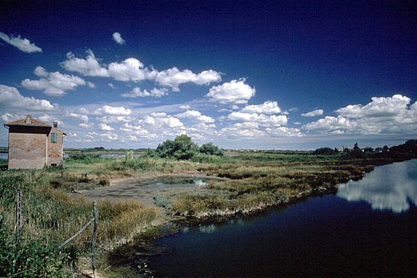 Parco del Delta del Po, ambiente, natura