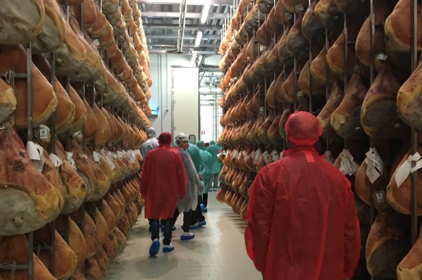 La Cina apre all’importazione di carne fresca suina italiana. Visita delegazione (gennaio 2018). Export. Agroalimentare - 3