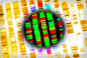 Approfondimento - sequenziamento genetico