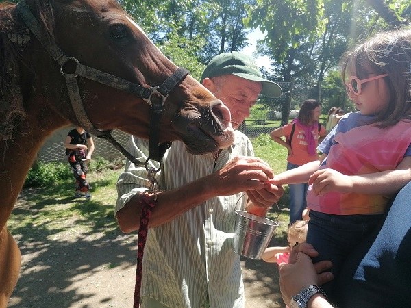 cavallo con bambino e animatore - foto R. Sangiorgi